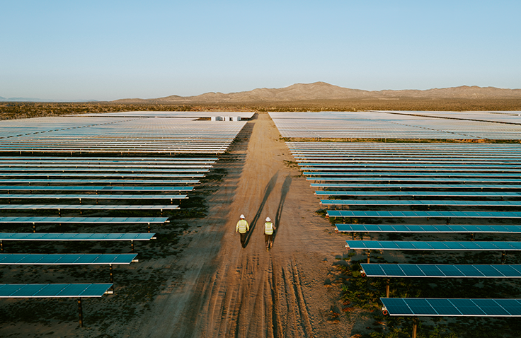 Two people walking on a dirt path through rows of solar panels.